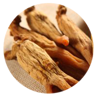 Asian Red Ginseng root extract in VigRX Plus