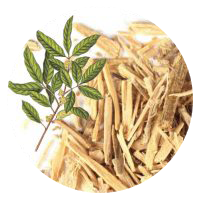 Muira Puama bark extract in VigRX Plus